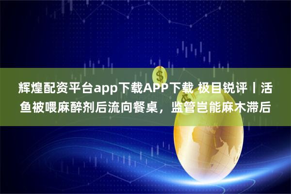 辉煌配资平台app下载APP下载 极目锐评丨活鱼被喂麻醉剂后流向餐桌，监管岂能麻木滞后