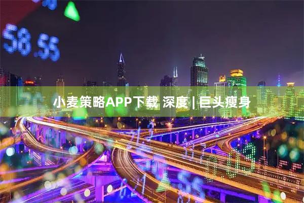 小麦策略APP下载 深度 | 巨头瘦身