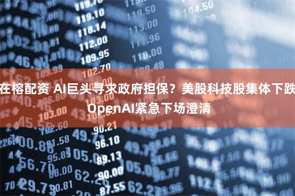 在榕配资 AI巨头寻求政府担保？美股科技股集体下跌 OpenAI紧急下场澄清