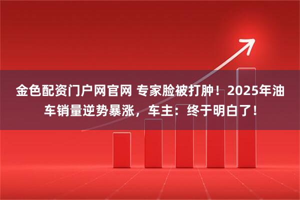 金色配资门户网官网 专家脸被打肿！2025年油车销量逆势暴涨，车主：终于明白了！